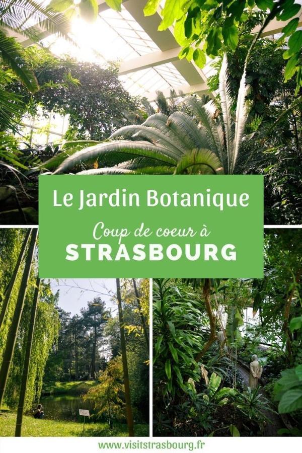 Appartement 6 Personnes Strasbourg Proche Centre Ville & Parking Exteriör bild